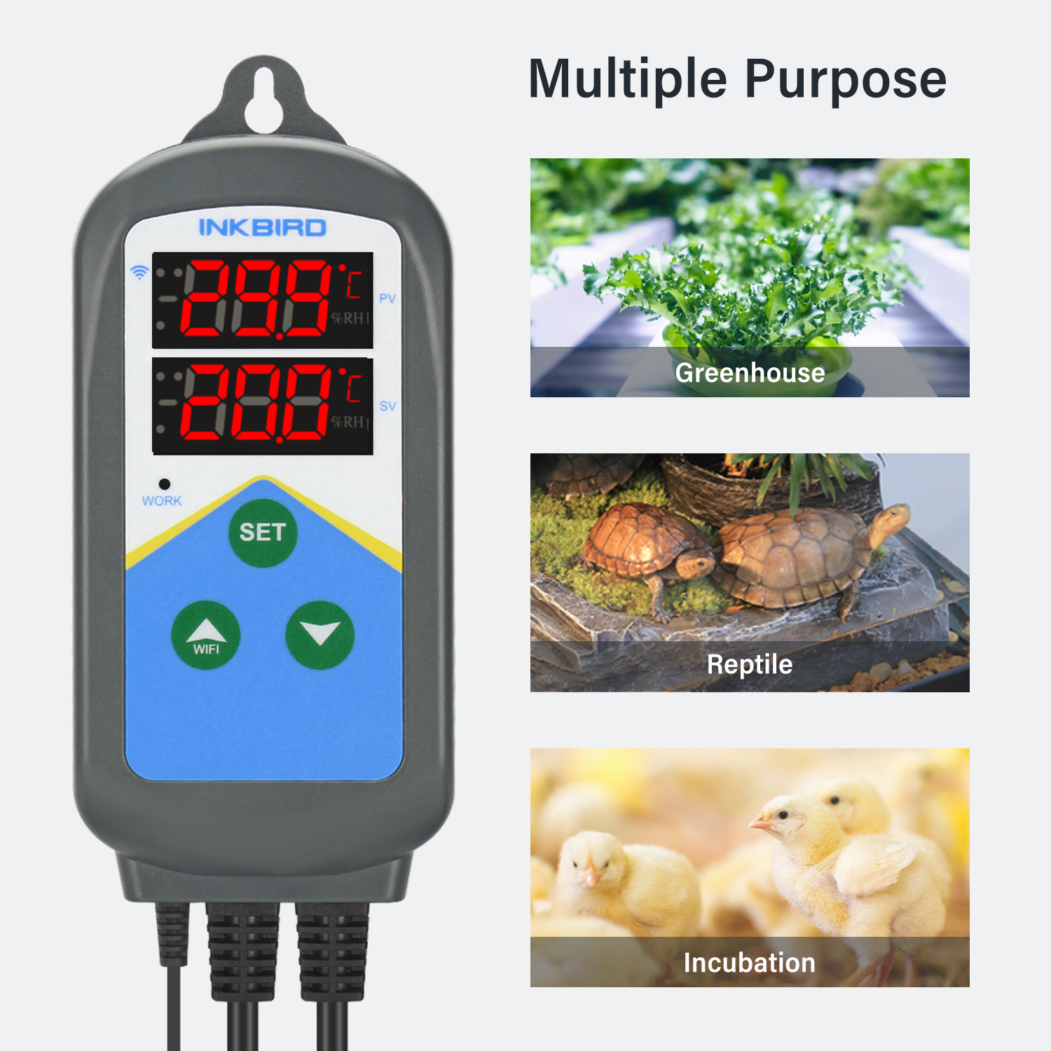 INKBIRD-termorregulador WIFI,  - Wifi Thermostat reseña y precio