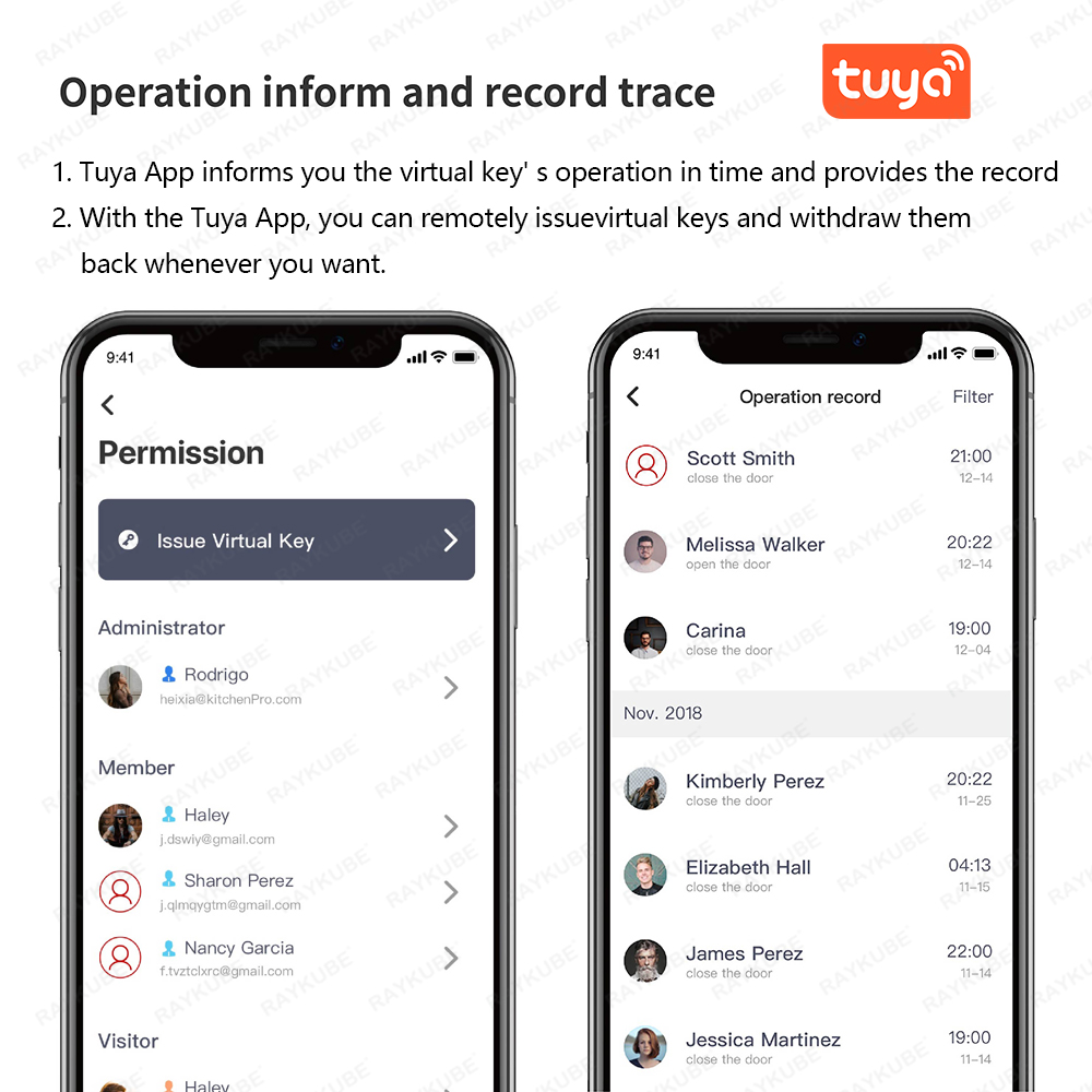 RAYKUBE A1 Pro Tuya BEL juego  - Smart Door Lock Wifi reseña y precio